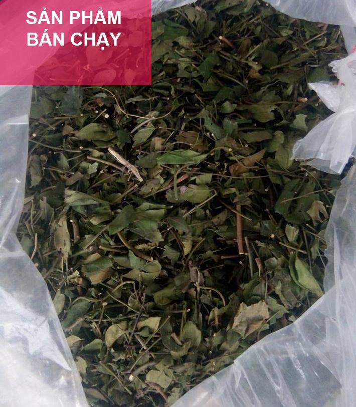 chè vằng sẻ