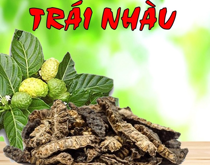 trái nhàu - quả nhàu